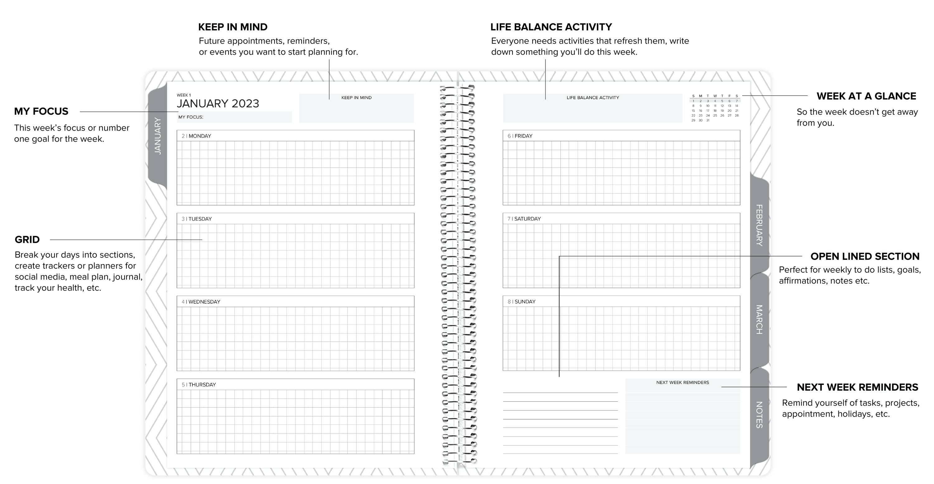 Compare Planners Amplify Planner Daily, Weekly, & Monthly Plan